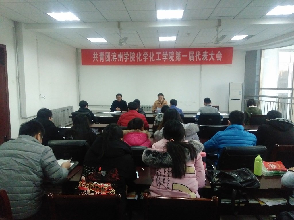 我院召开共青团第一次代表大会